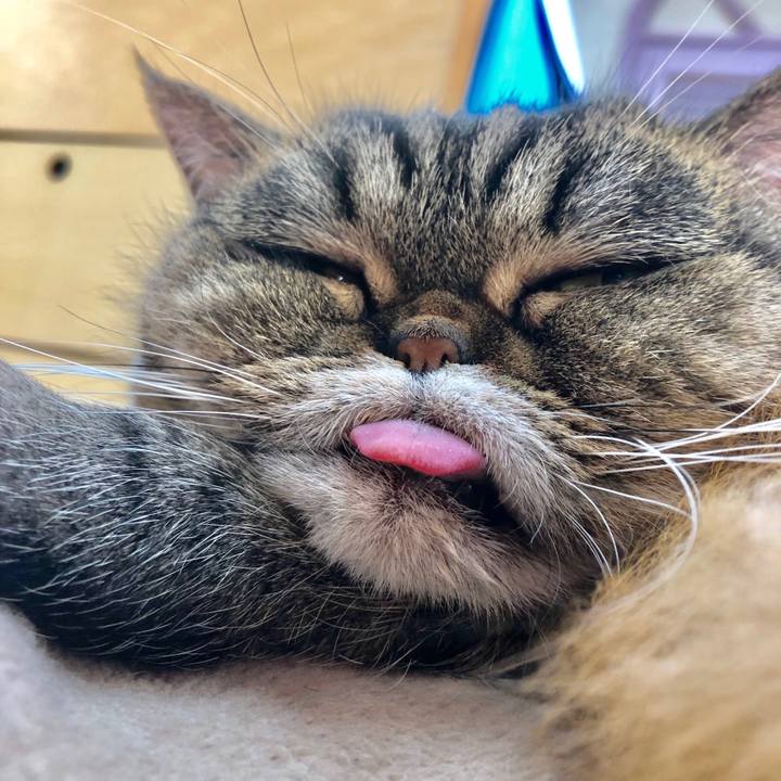 6f9fcfbb 53f4 43d6 b45f 1811565ccbd9 1546220877756