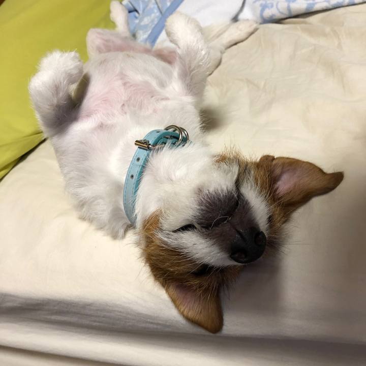 6fa0302d 5795 46d4 9884 6801ec6c80be 1543532400738