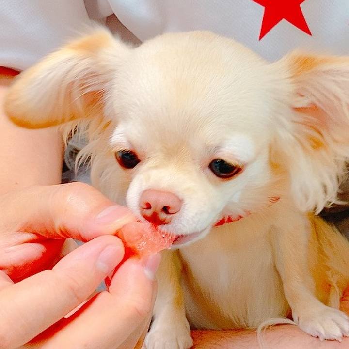 6fa0429f 7f05 43e1 93a5 ac06ed384c89 1627703758331