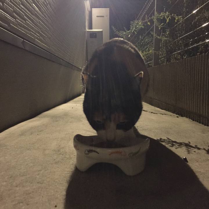 6fa04666 8762 4406 bc9f 06eaa116915f 1510402783007