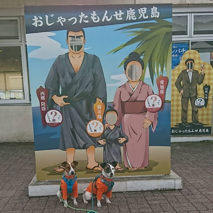 6fa05cf5 8938 4286 a5e7 dcab07a3149e 1606182972002