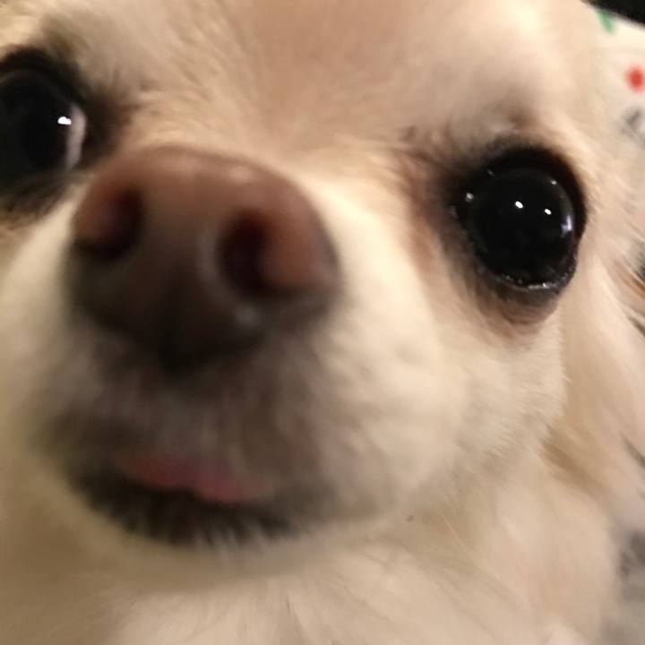 6fa07f05 35c0 4aa9 a94a dd0e9c1a6cb9 1520632823354