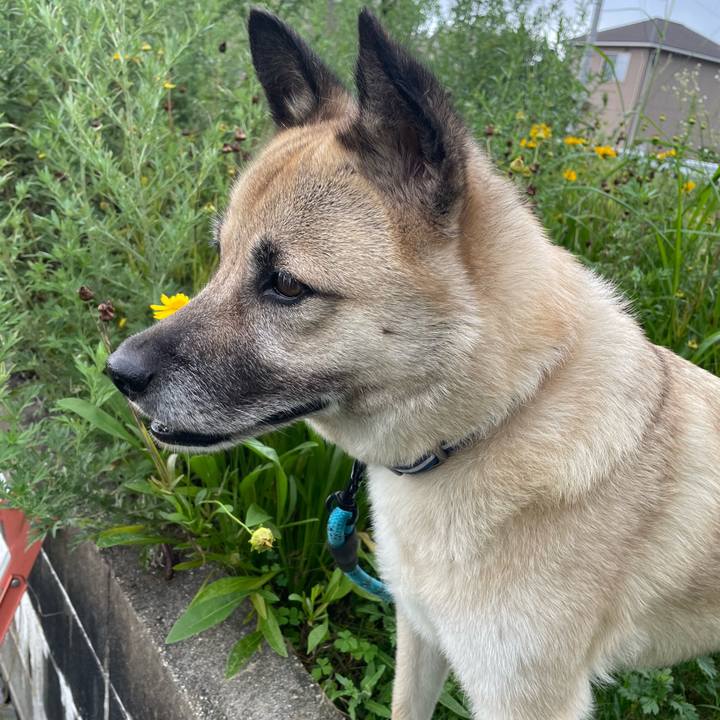 6fa09a11 6f54 41fa b1dc 91e2914b160e 1689683100437