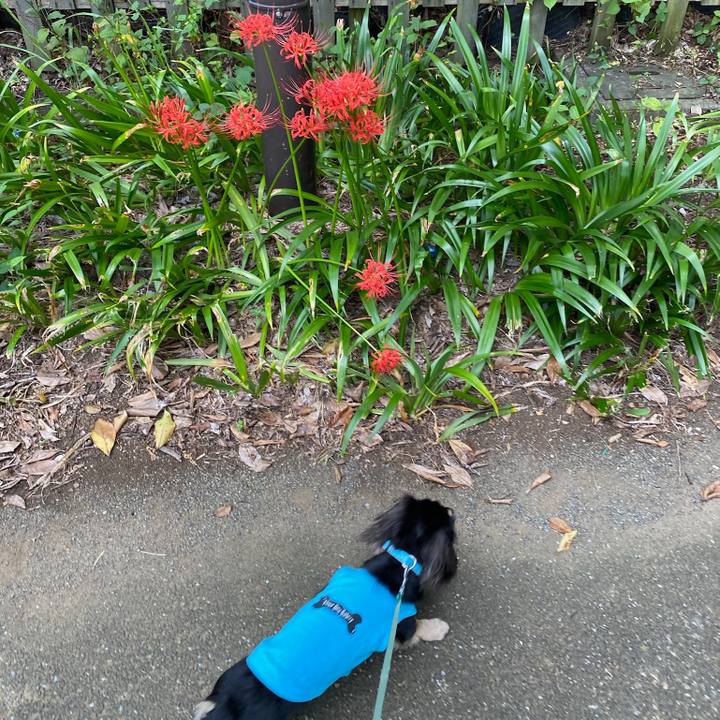 6fa0d52b c3cf 43be 8946 2ab1045fe37d 1695166624920