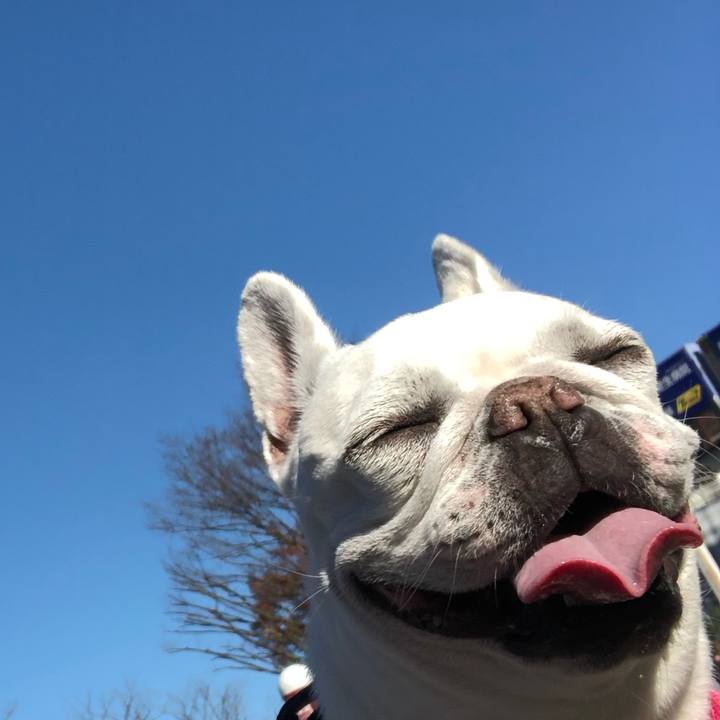 6fa0ecd2 1d67 4b5b a248 15632fc8a972 1606531894277