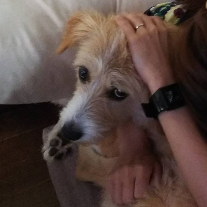 6fa0f3b4 1bd6 42de bb29 dd42a84ede9a 1531720203885