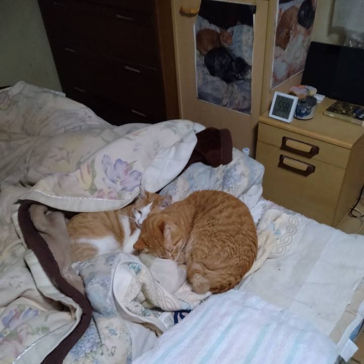 6fa116ed 351f 421f b9ef 08e6af904115 1744753120886