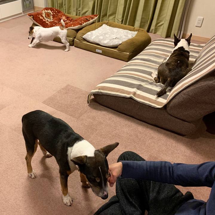 6fa15952 b0b2 4c3a b0e9 f55326e07c71 1586780308324