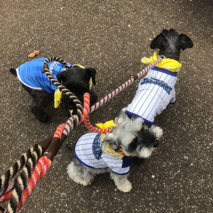 6fa16062 a73e 477b b3a2 549475ccaf3d 1570329949231