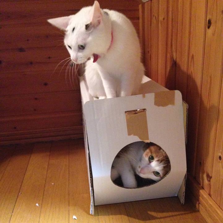 6fa17fb3 e83d 4070 b383 090b135eb15a 1512891677829