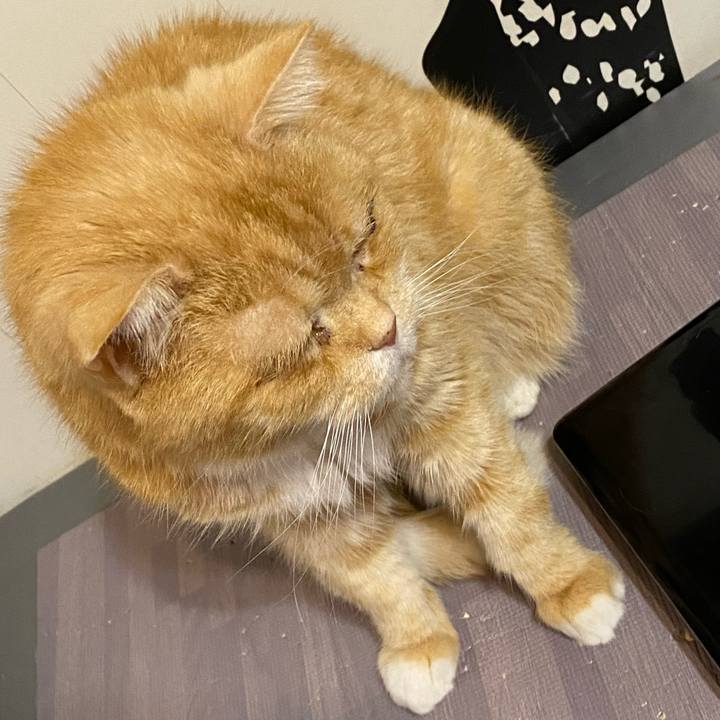 6fa19c18 855d 4c91 8ae0 eeb76520fe87 1676213887042