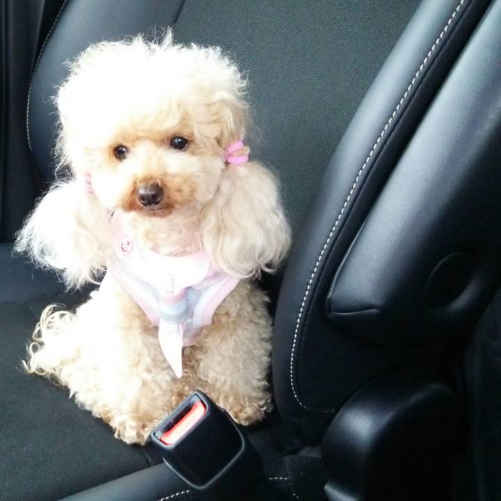 6fa19dfe 035b 4bc2 9a27 fc48d524d254 1531051293881