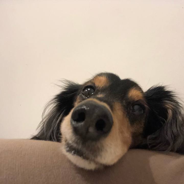 6fa1c9f1 0ffe 409e 9347 3bfb8ed9c880 1608502017210