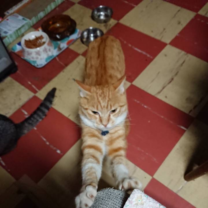 6fa1d7ad f148 4da4 88f5 4548d6c8c3f2 1563738361594