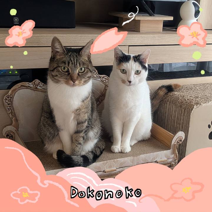 6fa1dac7 7985 49f7 bd9a 75846594d7b6 1775265169255