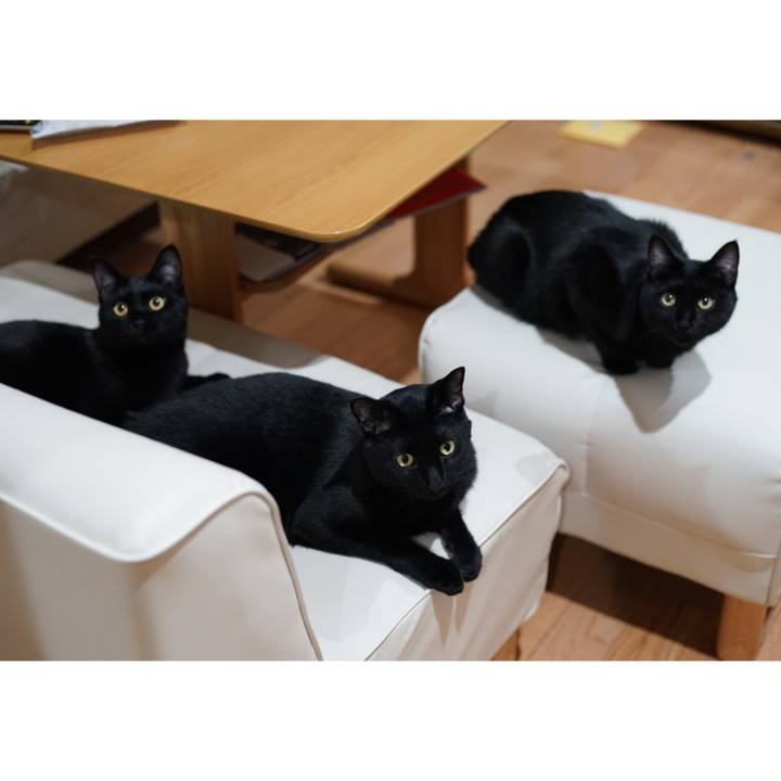 6fa1f7f7 bc18 4418 b58b 97e54f4b9ad7 1528673101317