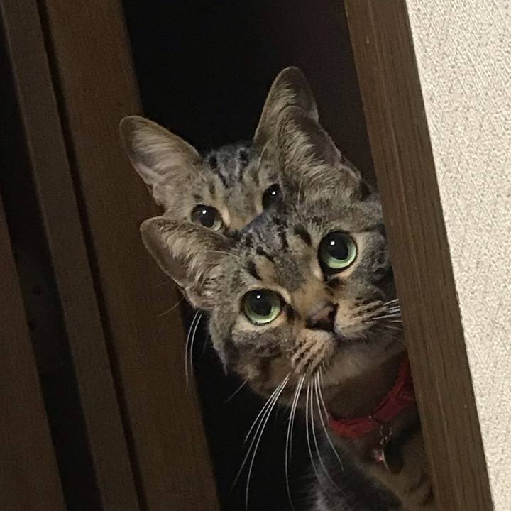 6fa1f7fc 3d40 4450 a3f3 1660a0404f5d 1553965150128