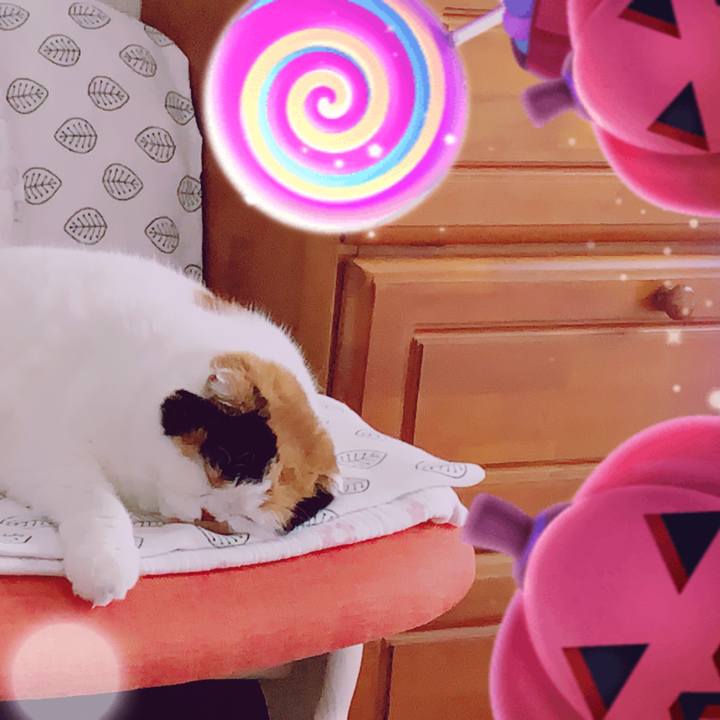 6fa1fd36 1022 4f27 aa65 d0b1dacd63e9 1603241389701