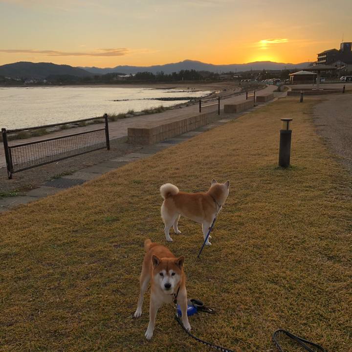 6fa2393e 5ea4 455c 884a 4467ec21c261 1575157307346