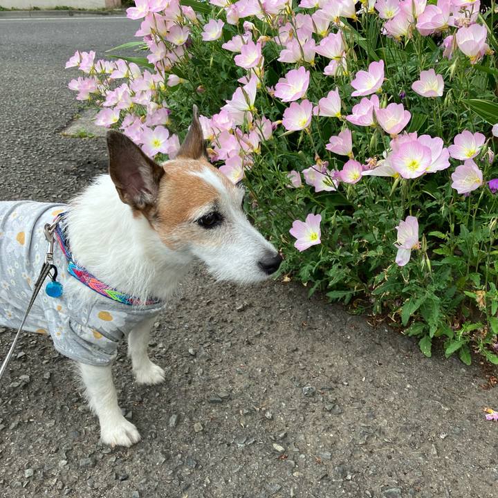 6fa23be4 bf62 4b93 882c 5d51939c615b 1683589293098