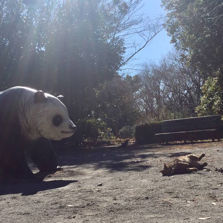 6fa23c2f 5571 4053 a86f e99ed1191b8a 1517996530839