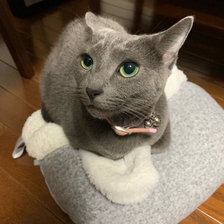 6fa23e44 d0ad 41e4 baa8 9f8a141ff101 1574689531891