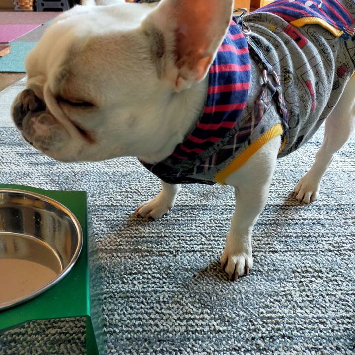 6fa24986 412f 4c3a bc8f afab61e62d97 1642719424849