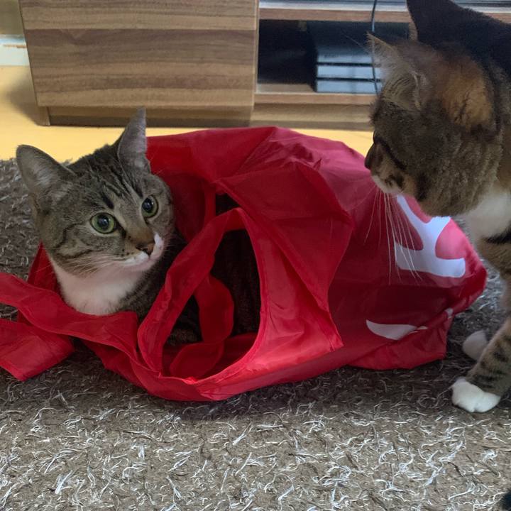 6fa24c53 f20b 44b4 b3cd 69ac824e784f 1644540790428