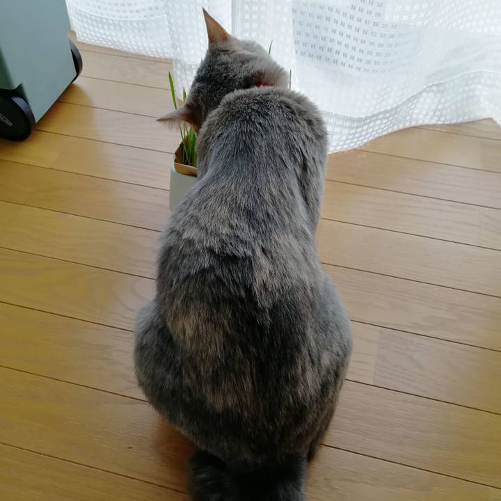 6fa2a2a3 f29e 4959 955f e62672b33620 1531383914308