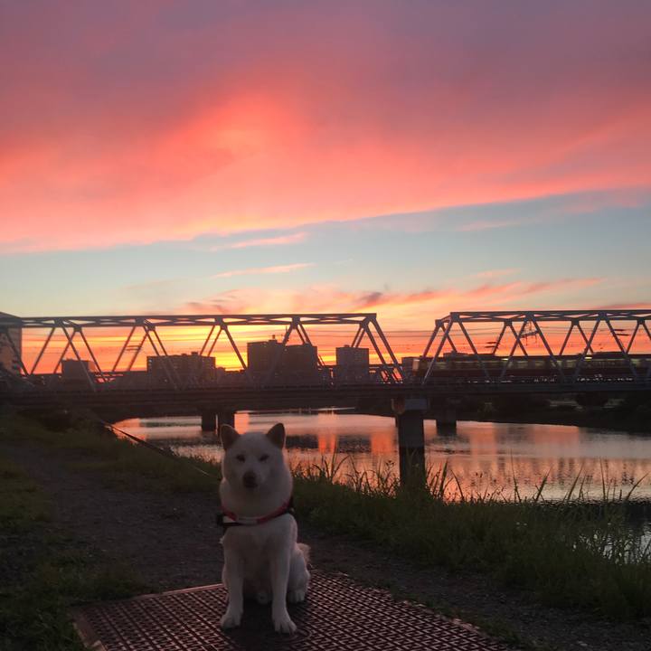 6fa2e8fc 0719 46ef bf89 e37db0852c51 1529835724019