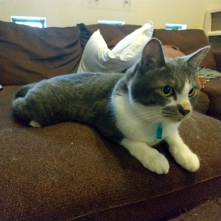 6fa30873 1172 4bbd 824f 2e945ece6451 1625435943153