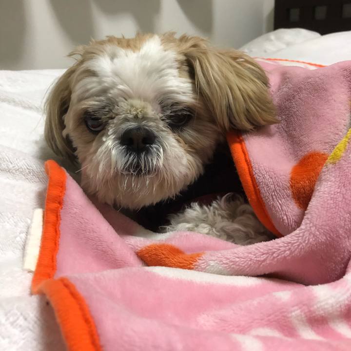 6fa33fa2 a700 4a72 b9da d2d2fa533cec 1551994977653