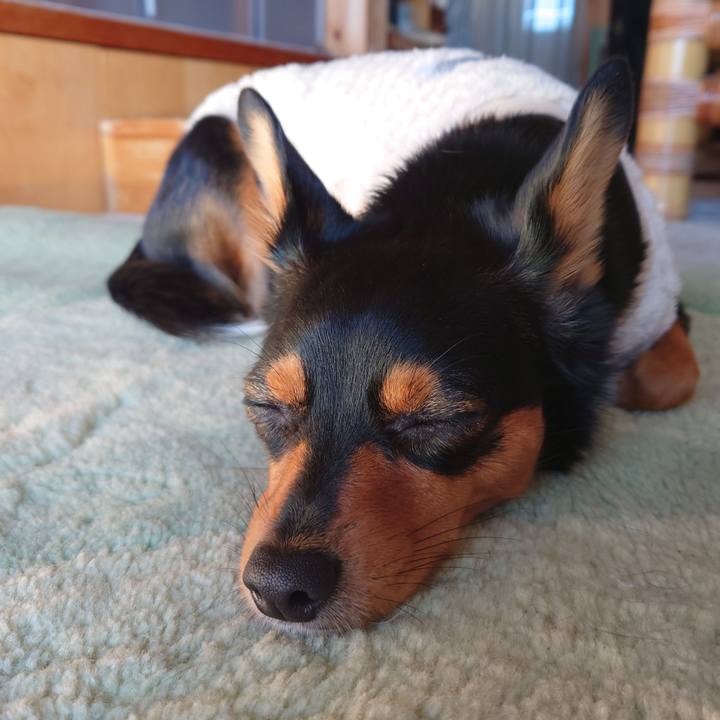 6fa34da6 d936 491d a5d5 389df488c62f 1767838557615