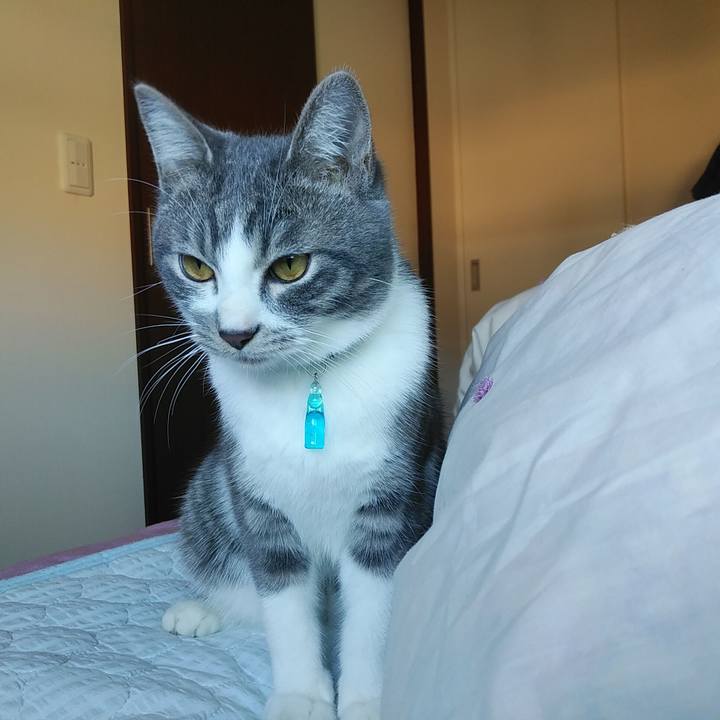 6fa359ca 1062 4033 8823 8c7386abb1c1 1573777258263