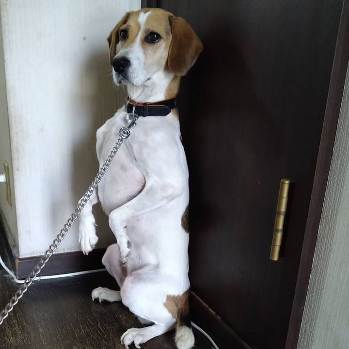 6fa366bc cb91 413c 9687 07acd40c26c6 1630821721135