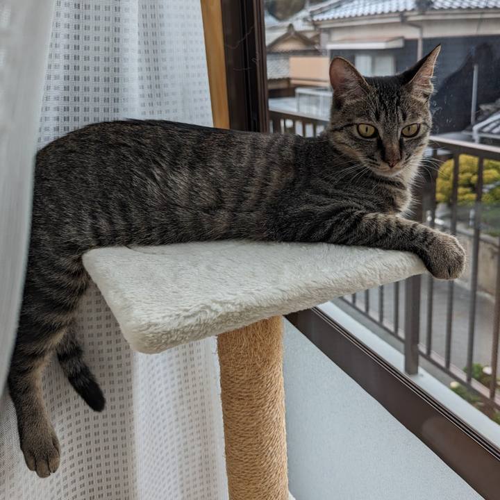 6fa36b41 93ac 44c8 a4ab 54e66e7f1f28 1711853307972