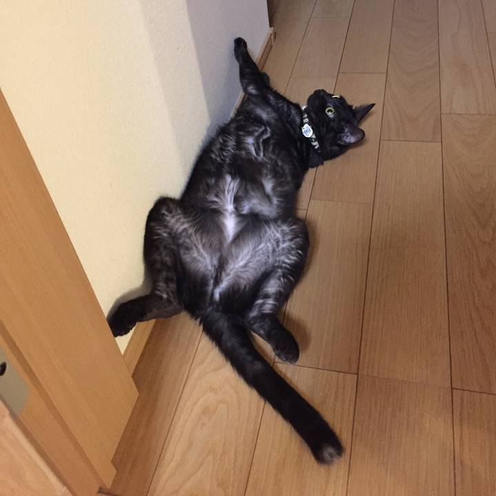 6fa378b2 9b6d 49cb 9b1e 03199c89bd5a 1533542926321