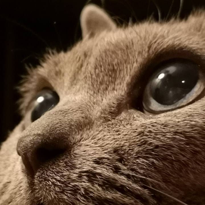 6fa39593 1425 49b1 9167 b4ada58ee64b 1569621094345