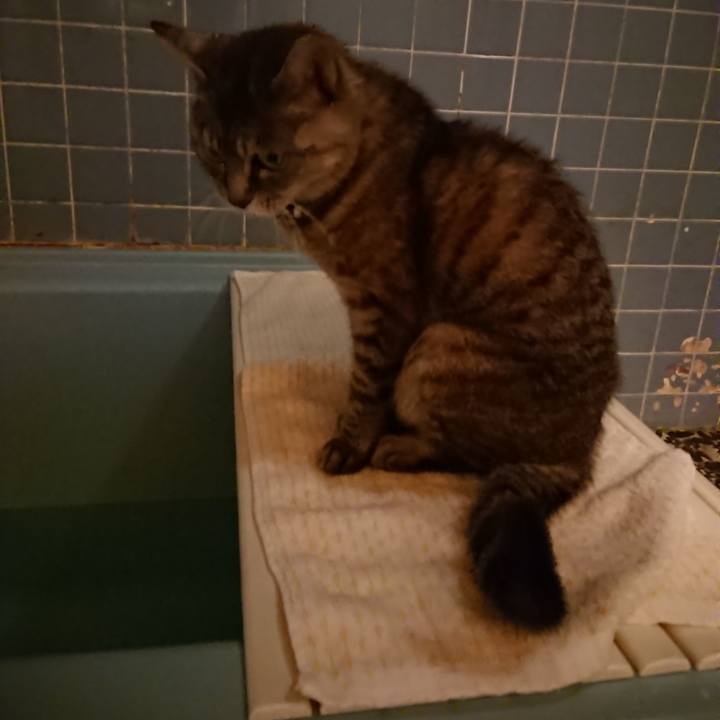 6fa3f701 2dea 4a46 83d6 14db22a15e7d 1568802971122