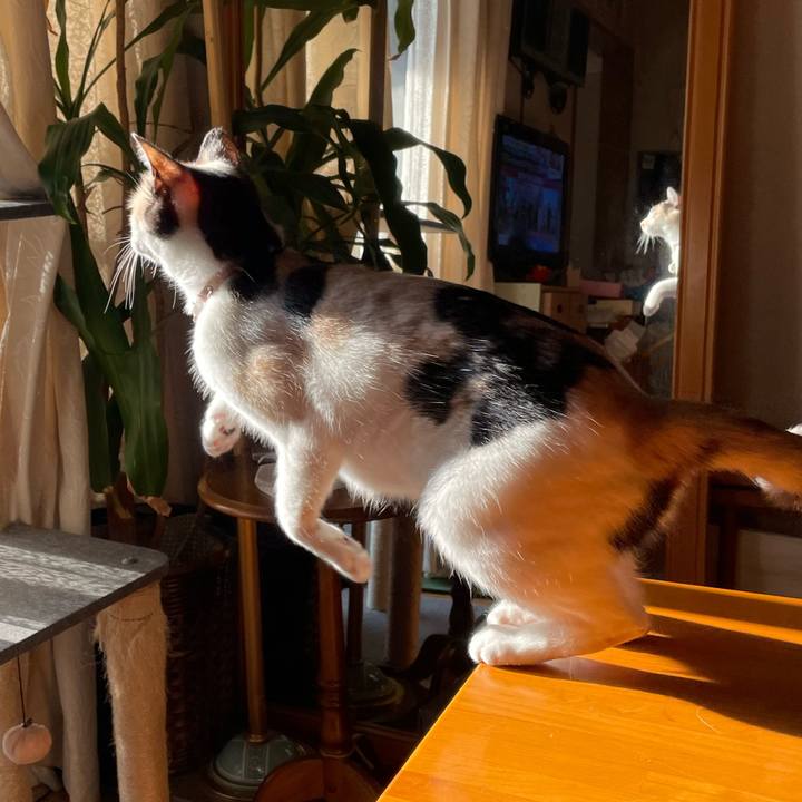 6fa3f91a 00db 43b8 bbc3 2f66751a3f08 1737590940727