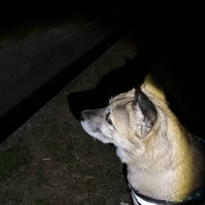 6fa3fa42 0f60 4427 8467 68c1d1799307 1764419661815