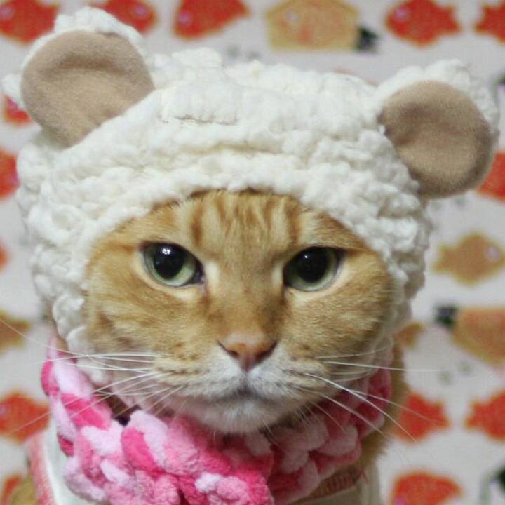 6fa41c7c dd12 4548 ad86 4b37a7845588 1514592863803