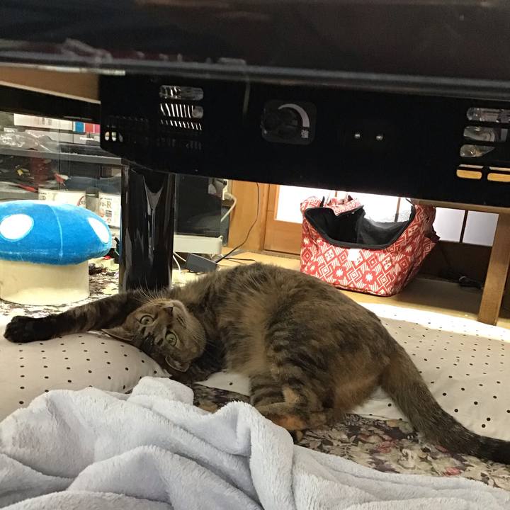 6fa42027 0ffd 4e29 b2df 20cf2657af59 1622849619210