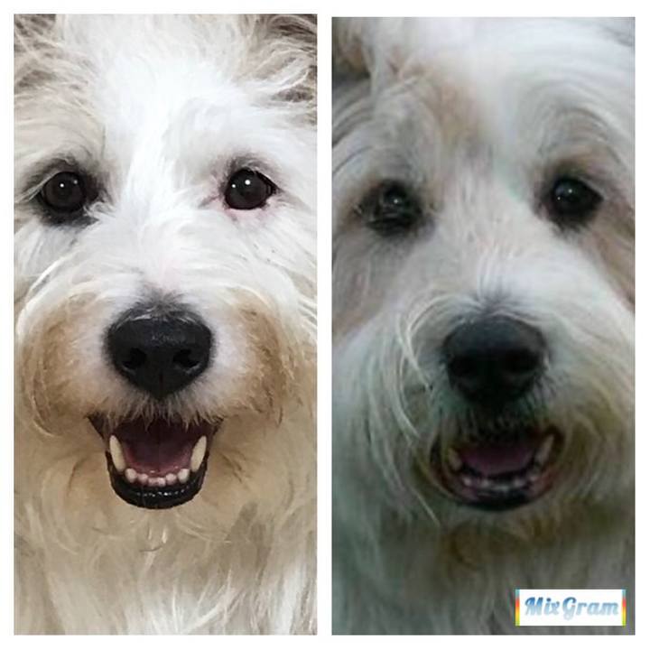 6fa4237c 29cf 4b2b b95b ee9859ec188c 1513050650564