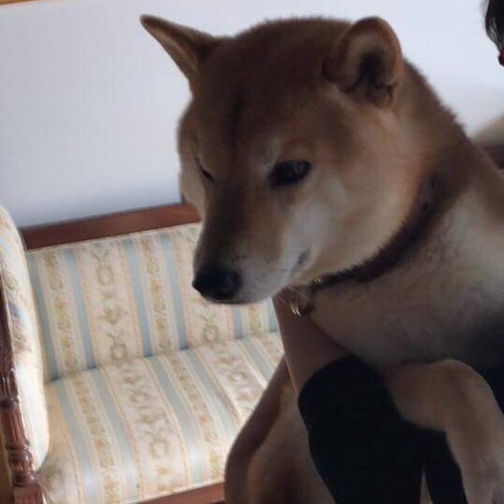 6fa45010 4c89 45d2 82f5 a8d1c968e6d0 1516977102346