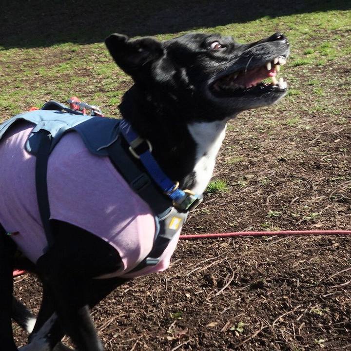 6fa455ed 58ae 42d4 a254 9477598ce209 1710034047075