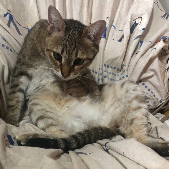 6fa45e7f 1a1b 4b29 8af6 28d38d14d128 1653020396668