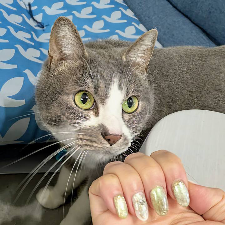 6fa46480 ebe6 476b a1a5 6c33f58f58ff 1744105781770