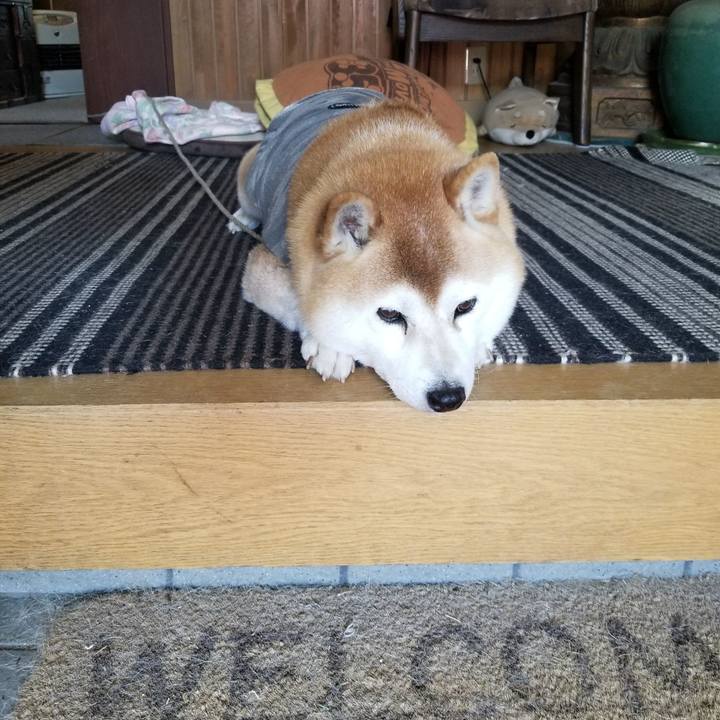 6fa46a4f 2f90 481b 8e7b 95d45071a1b7 1650167456483