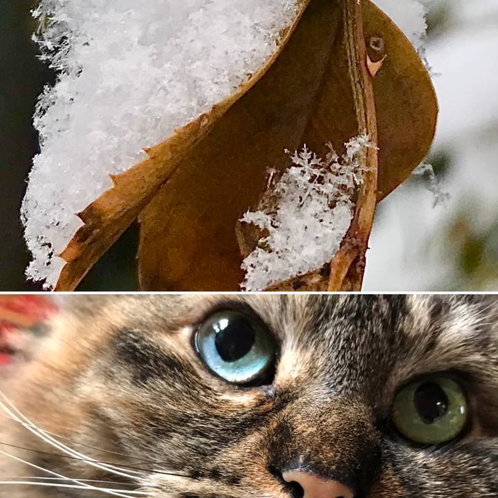 6fa4763c f7c9 4237 a20d 93a63f69423d 1611363830378